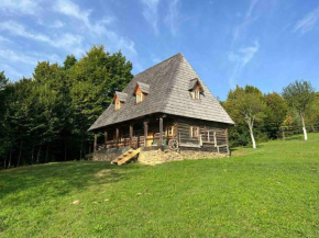 Casa Valea Vinului-traditional house in Maramureș